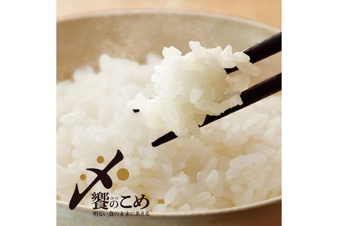 【期間限定発送】 米 令和7年 能登米 こしひかり 精米 10kg ×3袋 計 30kg [中橋商事 石川県 宝達志水町 38601196] お米 白米 ごはん 美味しい コシヒカリ おこめ こめ コメ 30キロ