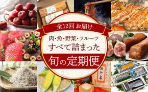 肉・魚・野菜・フルーツすべて詰まった旬の定期便(全12回お届け)　H028-073