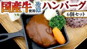 国産牛使用 こだわり 冷凍 ハンバーグ 6個 セット 牛肉 洋食 究極 本格 ビーフシチュー デミグラス レンジ可 惣菜 簡単 時短 [CT010us]