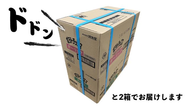 湖池屋 ポテトチップス 2種類アソート （のり塩・ガーリック）（各12袋・計24袋）  ポテチ お菓子 おかし 大量 スナック おつまみ ジャガイモ じゃがいも まとめ買い スナック菓子 数量限定 [DA044us]