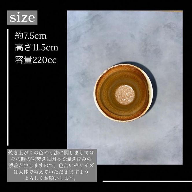 焼き締め 亀付き ビアカップ 丹波音羽焼