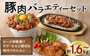 【ナンチクファクトリー】豚肉バラエティーセット ＜内容量が選べる＞ 計1.6kg～　K073-001