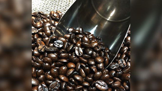 【 お中元 熨斗付 】オリジナルアイスコーヒー1000ml × 3本 セット セットコーヒー 珈琲 リキッドコーヒー 無糖 すっきり 自家焙煎 ブレンド ネルドリップ トラジャカロシ お取り寄せ セット お土産 贈り物 贈答 お祝い 記念日 ギフト プチギフト 茨城 [BN021us]