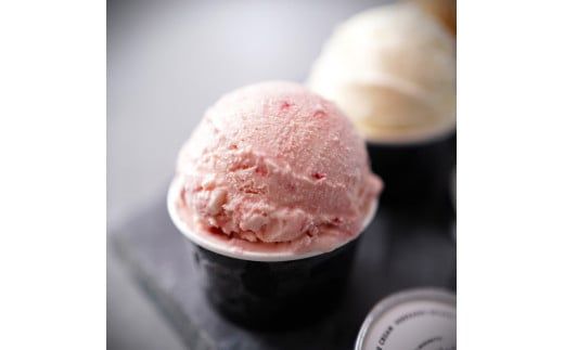 【北海道産搾りたて生乳使用】牧場の山カフェ アイスクリーム12個セット 真っ白な牧場アイス 思い出のチョコレート いちご デザート スイーツ せたな町 ふるさと納税