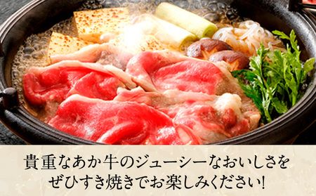 【3ヶ月定期便】 肥後のあか牛（熊本県産）すき焼き用500g (計3回お届け×500g 合計1.5kg) 南阿蘇食品《お申込み月の翌月から出荷開始》---sms_fasoaksktei_23_44000_mo3num1---