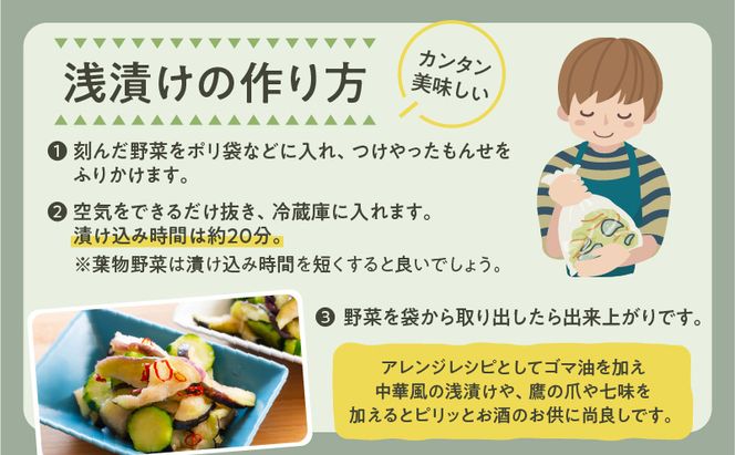 【5営業日以内に発送】ヒシク藤安醸造　浅漬けの素　つけやったもんせ　500ml×6本セット　K026-013