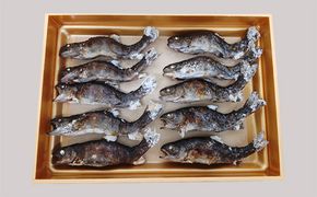 【B-607】 井保水産 岩魚塩焼き10尾［高島屋選定品］