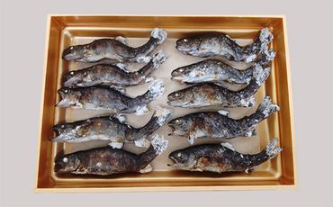 【B-607】 井保水産 岩魚塩焼き10尾［高島屋選定品］