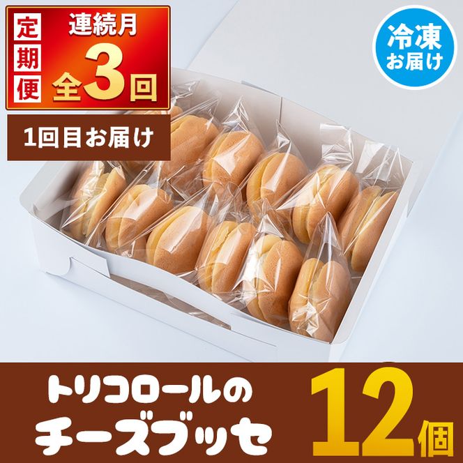 isa582 ＜定期便・全3回(連続)＞伊佐銘菓！トリコロールの人気セット(3種)お菓子 おかし 焼き菓子 お茶菓子 チーズブッセ シフォンケーキ シュークリーム おやつ 手土産 ギフト 贈答【ケーキハウストリコロール】