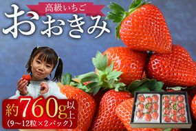 ＜高級いちご「おおきみ」（9～12粒×2パック 合計約760g以上）＞2025年1月上旬～4月末迄に順次出荷【a0284_sn_x1】