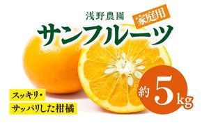 【先行予約】【家庭用】浅野農園のサンフルーツ5kg｜柑橘 みかん ミカン フルーツ 果物 愛媛 ※2025年4月中旬頃より順次発送予定 ※離島への配送不可