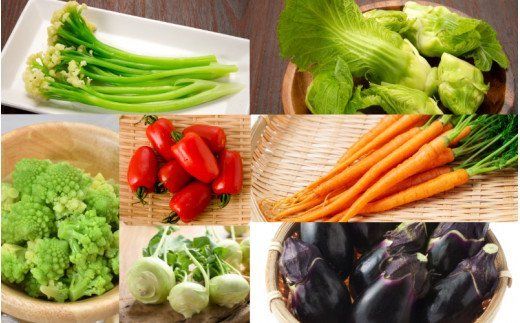 上田さんちの季節の珍野菜詰合せ_1878R