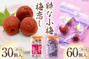 梅干し 粋な小梅ポット 60個入 & 梅恋しポット 30個入 [山梨農産食品 山梨県 韮崎市 20742104] 梅干 うめぼし 個包装 食べ比べ 梅 漬物 つけもの おやつ  おつまみ 熱中症予防