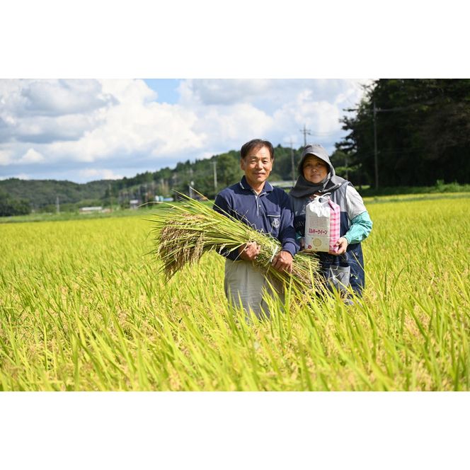 【数量限定】令和5年産　ミルキークイーン10kg（5kg×2）≪米 お米 白米 ご飯 栃木県産≫ ※2023年10月上旬から順次発送予定 ※着日指定不可◇