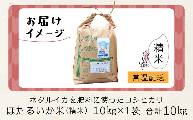 【先行予約】【新米】ほたるいか米（新米/精米10kg）25年10月以降順次配送予定