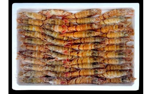 【エビ お楽しみセット 白えび（1箱約800g）甘えび（1箱約800g）合計1.6kg 香住産 冷凍】※発送目安：入金確認後、順次発送 鮮度抜群の甘エビと白エビの2種類。水揚げ後、すぐに船内で急速冷凍した商品です。漁師が食べている新鮮な旨みをたっぷり味わってください。お刺身 焼き物 塩ゆで フライ 唐揚げ 鍋物 海鮮丼 大人気 ふるさと納税 香住 柴山 香美町 宿院商店 33-09