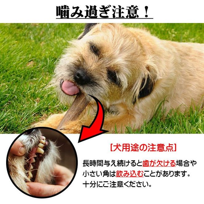 えぞ鹿カット角【約10cm×3本】※トリーツ