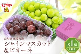 2025年ぶどう「シャインマスカット＆ピオーネ 」各1房（計2房 約1.2kg） 東根農産センター提供 山形県 東根市 hi027-183-2