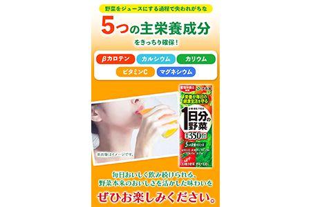 紀の川市産 紙パック飲料 1日分の野菜 200ml×24本 1ケース 株式会社伊藤園 《30日以内に出荷予定(土日祝除く)》 和歌山県 紀の川市 野菜 ジュース 野菜ジュース 送料無料 1日分の野菜---wsk_ite1dayb200_30d_22_11000_24p---