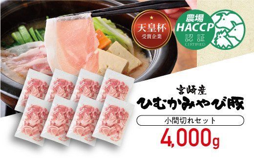 香川畜産の豚肉小間切れセット　4,000g 【 肉 豚肉 精肉 豚コマ 】 [H6206]