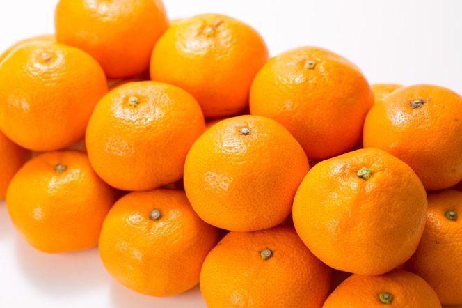 ブランド有田みかん【Mサイズ】秀品 10kg／産地直送／薄皮で