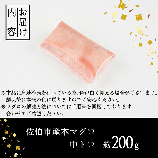 佐伯市産本マグロ 中トロ(約200g) 中とろ マグロ 鮪 刺身 さしみ 魚 海鮮 冷凍 大分県 佐伯市【DH256】【(株)ネクサ】