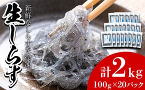 【44518】鹿児島県産生しらす(冷凍)計2kg(100g×20パック) 獲れたてしらすを急速冷凍！鮮度抜群なしらすをご家庭で気軽に！【東串良町漁業協同組合】