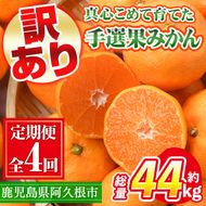 ＜定期便・全4回(10月・11月・12月・1月)＞＜訳あり・不揃い＞鹿児島県産！手選果みかん(総量約44kg・約11kg×4回) 国産 蜜柑 柑橘 果物 フルーツ ミカン 旬 冬 ご家庭用 おすそ分け【三笠農業生産】akn051-16