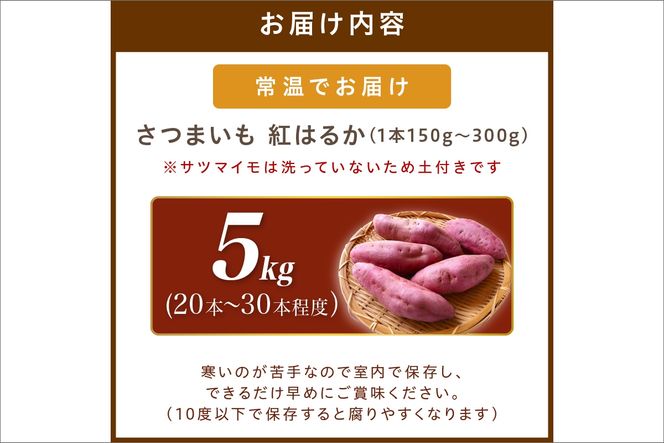 テレビで紹介！ さつまいもオブザイヤー紅はるか部門全国1位 京都・ 丹後産 竹田農園の さつまいも 紅はるか　土付き（1本150〜300g）5kg（20～30本程度）TF00001