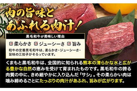 くまもと黒毛和牛 外モモ 赤身 ローストビーフ用 ブロック 500g 牛肉 冷凍《90日以内に出荷予定(土日祝除く)》 黒毛和牛 ローストビーフ 熊本県 玉東町---gkt_fkkrgsmar_90d_24_13000_500g---