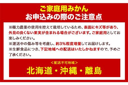 ＜先行予約＞家庭用 極早生有田みかん5kg+150g（傷み補償分）【YN26・ゆら早生】【わけあり・訳あり】池田鹿蔵農園（池田農園株式会社）《9月中旬-11月中旬頃より出荷》和歌山県 日高町 みかん 有田みかん 完熟 厳選---wsh_idn43_9c11c_24_11000_5kg---