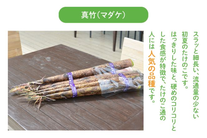 【５月中旬発送開始】朝採りたけのこ 真竹 約 5kg (AA038-1)
