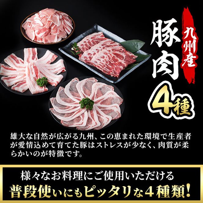 【数量限定】小分け・真空パック!九州産豚肉4種セット＜計2.25kg＞ a0-218