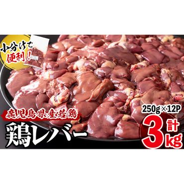 小分けで便利！鹿児島県産鶏レバー 計3kg(250g×12P) a0-295