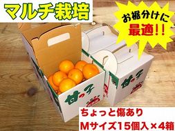 手さげ箱 ちょっと傷 マルチ栽培 有田 みかん M サイズ 15個入 × 4箱 南泰園 BS671