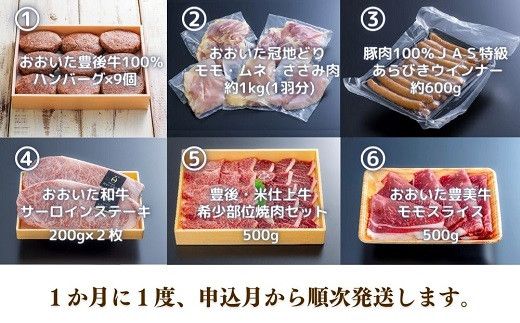 MA-02 肉ざんまい定期便 全6回 6か月 牛肉 焼肉 ステーキ スライス 鶏肉 ウインナー ハンバーグ