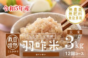 [A076] 【定期便】【新米予約（11月発送開始）】【無農薬】【玄米】能登のこだわり自然栽培こしひかり『羽咋米』 ３kg×１２回コース