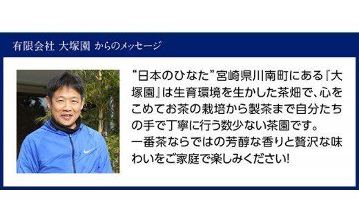 The FIRST GREEN TEA(500ml×24本) [H2204]