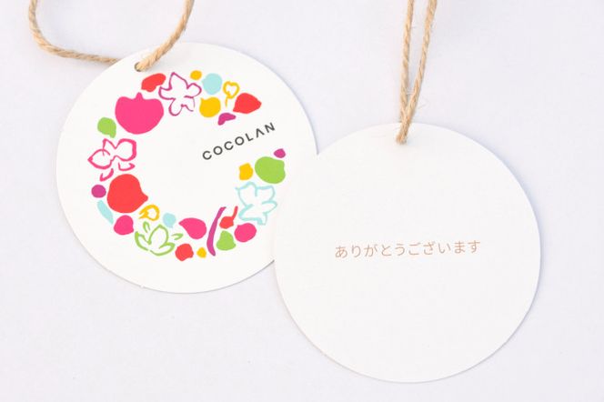 三木市で育てた大和ハウスのミニ胡蝶蘭 COCOLAN クワトロ【お花の色お任せ】