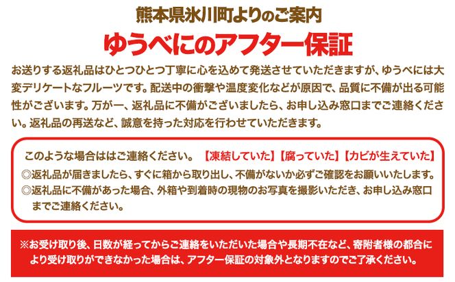 【数量限定】ゆうべに 約1,000g（約250g×4パック） 熊本 いちご 苺 イチゴ 熊本県氷川町産 ゆうべに いちご《3月出荷予定》熊本県 氷川町 果物 フルーツ---hkw_cjaybn_ac3_r8_10000_4p---