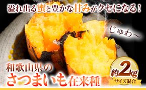 さつまいも 厳選 混合サイズ 2kg 在来種 みはらファーム《12月中旬‐5月上旬頃出荷》和歌山県 日高川町 みはらファーム さつま芋 薩摩芋 いも 芋 蜜いも サツマイモ 小容量 さつま芋 スイートポテト 焼き芋---wshg_mhr13_12c5j_26_7000_2kg---
