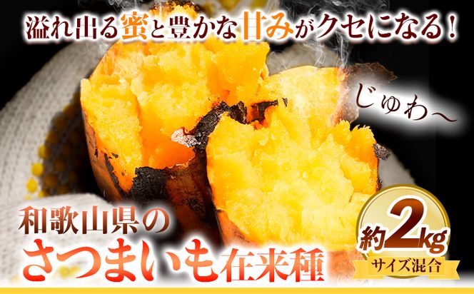 さつまいも 厳選 混合サイズ 2kg 在来種 みはらファーム《12月中旬‐5月上旬頃出荷》和歌山県 日高川町 みはらファーム さつま芋 薩摩芋 いも 芋 蜜いも サツマイモ 小容量 さつま芋 スイートポテト 焼き芋---wshg_mhr13_12c5j_26_7000_2kg---