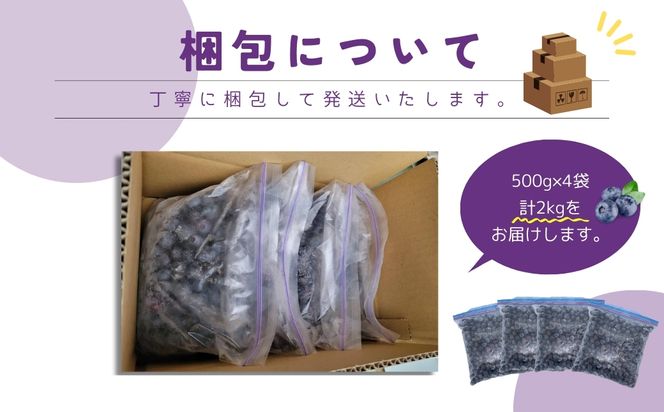 冷凍 ブルーベリー 2kg ( 500g × 4袋 ) 大容量 フルーツ 果物 くだもの