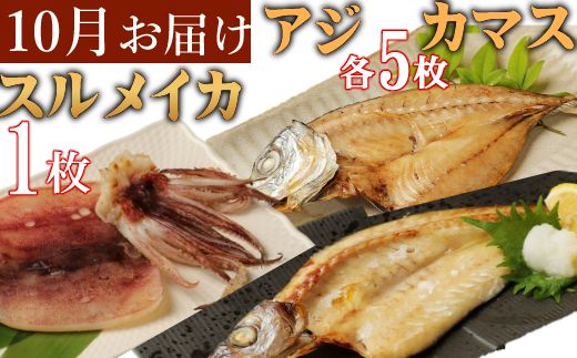 定期便 年6回 室戸流藁焼きタタキと地魚干物定期便B（年６回・偶数月お届け）　iz051