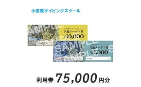  45-1119　小田原ダイビングスクール共通クーポン券 75,000円分