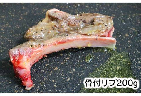 ジビエ革命～究極のジビエ　鹿肉セット　N028-ZA509