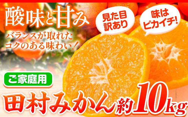 [ご家庭用 訳あり]田村みかん 10kg 株式会社魚鶴商店[2024年11月下旬-2025年2月上旬頃出荷] 和歌山県 日高町 柑橘 フルーツ---wsh_utshtm_l112_23_18000_10kg---