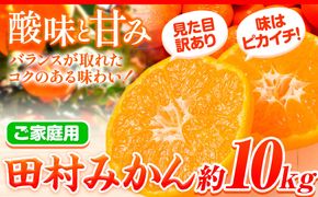 【ご家庭用 訳あり】田村みかん 10kg 株式会社魚鶴商店《2024年11月下旬-2025年2月上旬頃出荷》 和歌山県 日高町 柑橘 フルーツ---wsh_utshtm_l112_23_18000_10kg---