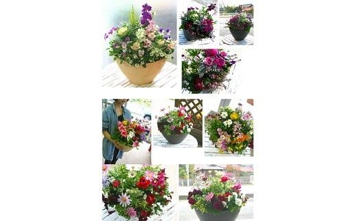 C028 花うるるのおまかせプレミアム寄せ植え