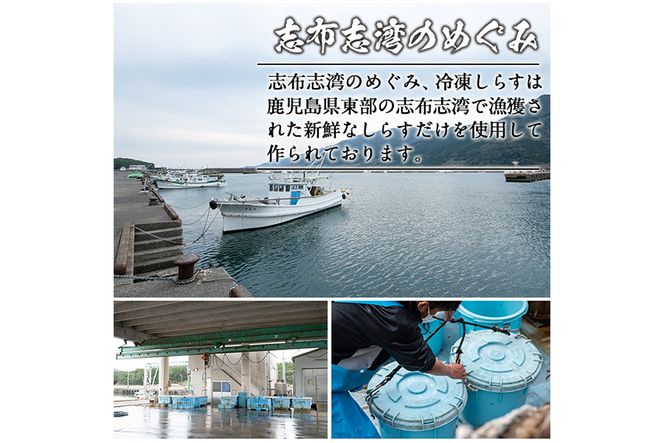 【44518】鹿児島県産生しらす(冷凍)計2kg(100g×20パック) 獲れたてしらすを急速冷凍！鮮度抜群なしらすをご家庭で気軽に！【東串良町漁業協同組合】